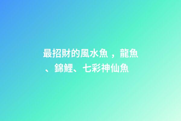 最招財的風水魚，龍魚、錦鯉、七彩神仙魚